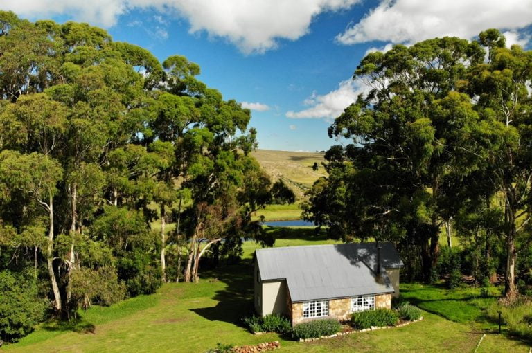 created by dji camera